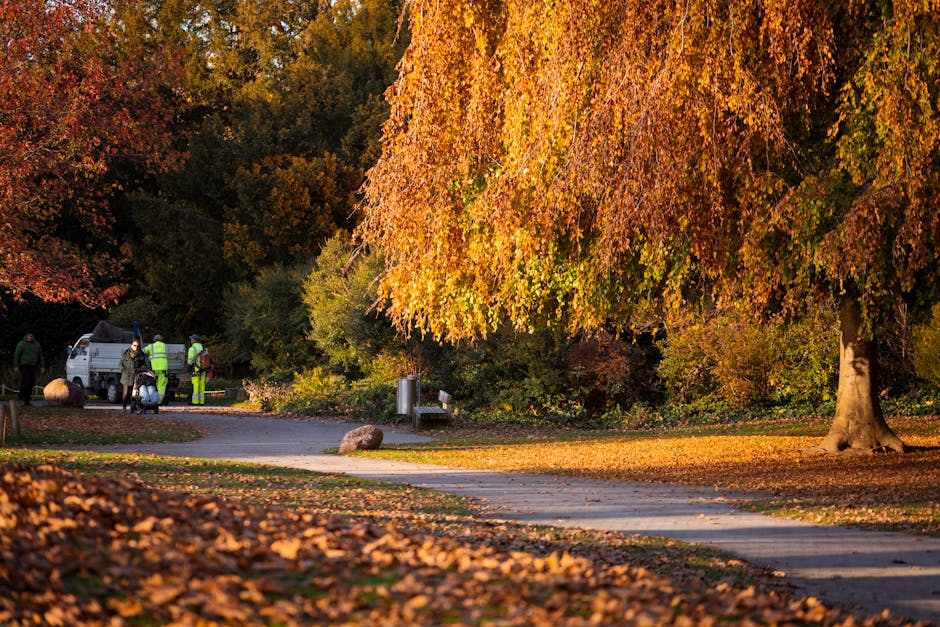 A scene in a park during autumn showing a paved pathway bordered by fallen leaves, with a large tree with orange and yellow foliage on the right side. In the background, a group of people wearing reflective safety vests are gathered around a small white van parked on the side of the path, likely involved in waste collection or clearance activities. The van’s rear doors are open, revealing equipment or waste being loaded or unloaded. To the left, a care collection bin is positioned near the path, and a few large rocks are scattered nearby. The environment is well-lit with natural sunlight, highlighting the vibrant autumn colors and creating a tranquil setting for outdoor waste removal or clearance work, consistent with services offered by companies such as House Clearance Hammersmith.